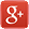 Google+